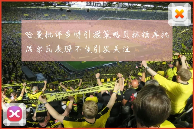 哈曼批评多特引援策略贝林扬库托席尔瓦表现不佳引发关注