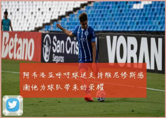 阿韦洛亚呼吁球迷支持维尼修斯感谢他为球队带来的荣耀