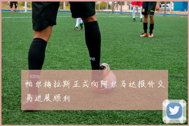 帕尔梅拉斯正式向阿尔马达报价交易进展顺利