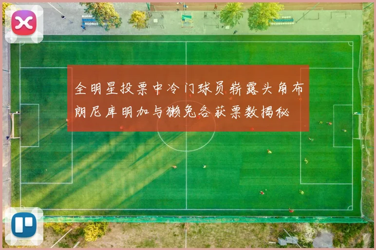 全明星投票中冷门球员崭露头角布朗尼库明加与獭兔各获票数揭秘