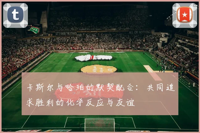 卡斯尔与哈珀的默契配合：共同追求胜利的化学反应与友谊