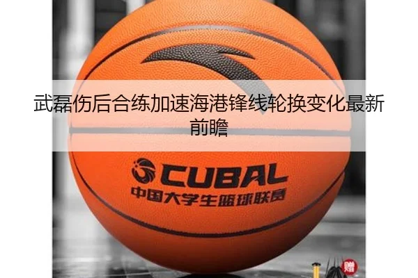 武磊伤后合练加速海港锋线轮换变化最新前瞻（Yabo）